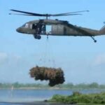 New Orleans collected 9,000 discarded Christmas trees and airlifted them into coastal wetlands; the programme has restored marsh equal to nearly 200 football fields