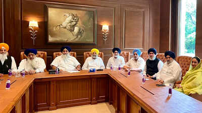 SAD backs women's quota, delimitation bills after Badal-PM Modi meet fuels buzz