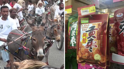 Why Pakistan’s donkeys are becoming valuable in China: What is driving a surprising demand for the humble animal
