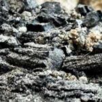 A wooden relic that survived the sack of Jerusalem's First Temple was unearthed by archaeologists, now they are finding shocking answers