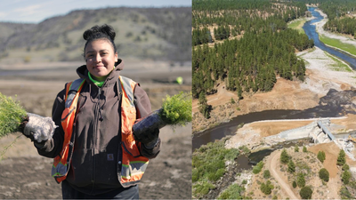 After America's largest dam removal, the Yurok Tribe is bringing an entire river back to life by planting millions of native seeds
