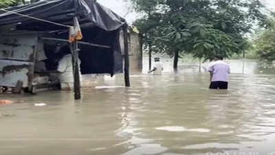 Gujarat rain impact: Sunday classes proposed for Ahmedabad schools, attendance to remain voluntary