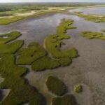 In 2014, a Texas coalition bought a 17,351-acre coastal ranch for $37.7 million, much of it using Deepwater Horizon restoration money; 15,000 acres later became a wildlife area protecting wetlands, prairie and endangered whooping crane habitat