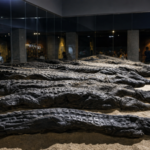 Ancient Egyptians mummified thousands of crocodiles at Kom Ombo. Modern DNA has finally revealed where the sacred reptiles came from