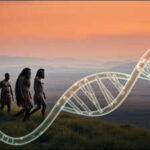 Scientists found traces of two unknown ancient human lineages hiding in modern DNA; one split from our ancestors about 800,000 years ago, another around 1.8 million years ago