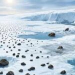 Antarctica holds more than 60% of the world’s meteorites, but warming could make thousands disappear into the ice