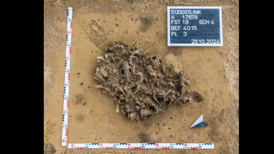 Archaeologists found a 7,000-year-old pit packed with beaver bones; it reveals how Europe's first farmers used animal fur