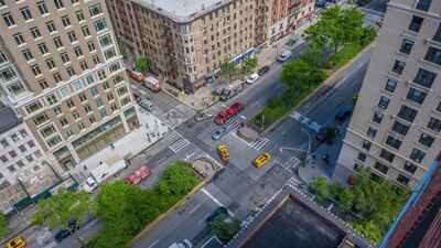 Between six lanes of Manhattan traffic, Broadway's medians are being replanted with native species to create a five-mile corridor for birds and bees