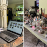 At 14, Sheri Lynch received a small grey hippo as a birthday gift. 40 years later, her collection had grown into a world-record collection of 1,086 items