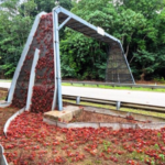 Australia has built bridges just for crabs so millions of red crabs can safely migrate across Christmas Island every year
