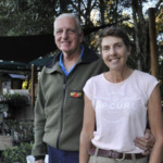 Australian couple bought a cattle farm and planted 34,000 trees to restore rainforest for koalas and other wildlife