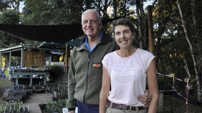Australian couple bought a cattle farm and planted 34,000 trees to restore rainforest for koalas and other wildlife
