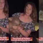 U.S. influencer faced tough action in Australia after picking up a baby wombat from its distressed mother for a viral 'reel'; an important lesson for wildlife-loving travellers