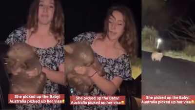 U.S. influencer faced tough action in Australia after picking up a baby wombat from its distressed mother for a viral 'reel'; an important lesson for wildlife-loving travellers