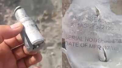 '30 civilans killed': Baloch activist shares video of 'Pakistani war crime', seeks US intervention