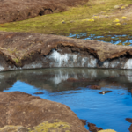 Between 1979 and 2018, ice inside the Tibetan Plateau has increased despite rising global warming, which should melt it: What is the surprising reason behind the unusual pattern?