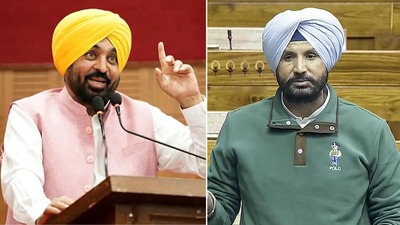 'At no cost' will Mann complete tenure: Congress' Warring predicts AAP govt collapse in Punjab