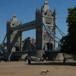 UK records hottest day of year as temperature crosses 38°C in west London