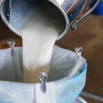 Can you guess India’s Milk Capital? Here’s why this Gujarat city earned the title