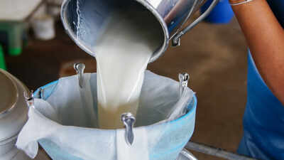 Can you guess India’s Milk Capital? Here’s why this Gujarat city earned the title