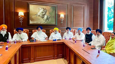 6 years after NDA exit, SAD backs delimitation push
