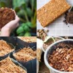 5 practical uses of cocopeat every gardener should know