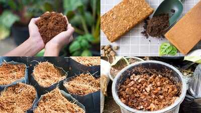 5 practical uses of cocopeat every gardener should know