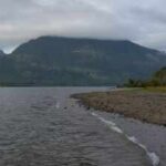 British Columbia funded the restoration of 70 hectares in the Cowichan Estuary; without the project, 60% of its marsh could disappear by 2100