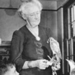 In 1912, a Rhode Island woman began recording every day's bird sightings on Block Island; she continued for more than 50 years and left behind one of the island's longest wildlife records