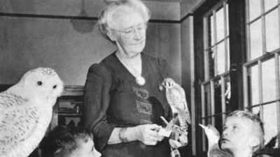 In 1912, a Rhode Island woman began recording every day's bird sightings on Block Island; she continued for more than 50 years and left behind one of the island's longest wildlife records