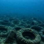 Florida dumped millions of tyres into the ocean to build a reef. More than 50 years later, it is still cleaning them up