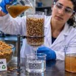 Florida scientists are turning rice husk waste into reusable water filters that can remove pollutants from contaminated water