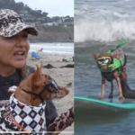 ​From cancer survivors to surfing stars: California woman and her dog beat cancer before competing together at the World Dog Surfing Championships
