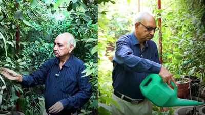 This Delhi man turned his home into a mini orchard with 1,000+ plants, grows 40 varieties of fruit and says he hasn’t bought lemons in years