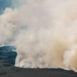 3,000 hectares up in flames: Belgium battles its biggest wildfire on record