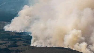 3,000 hectares up in flames: Belgium battles its biggest wildfire on record