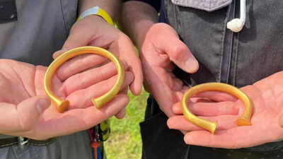 A British metal detectorist thought he'd found a bull's nose ring; it was actually a Bronze Age gold bracelet, and then two more appeared