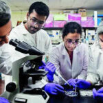 No conflict of interest in RDI Fund, says government
