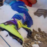 India to recover 'Green Boots' climber's body from Everest after 30 years: Report