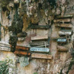 <b>For centuries, China’s hanging coffins had no known builders. Ancient DNA now points to the Bo people</b>