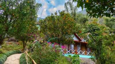 Kashmir Rooftop Farming: On a Kashmir rooftop in Shopian, one farmer is growing a whole farm's worth of food