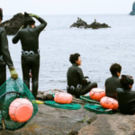 How Korea's Haenyeo developed extraordinary cold resistance that lets them dive into near-freezing seas without oxygen tanks, even in their 70s