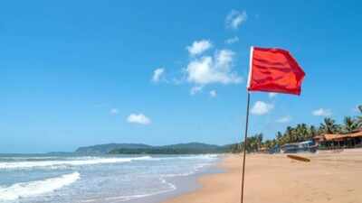 Illegal To Take Sand From Beaches: Why is it illegal to take sand from some beaches? The environmental and legal reasons you should know before collecting it