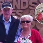 Couple escaped from elder care home because they did not like it: How working children can better support ageing parents in a changing world