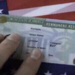 'USCIS makes mistakes': Immigration expert breaks down new H-1B, Green Card rule, calls its another step in dismantling legal immigration