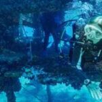 In 1970, Sylvia Earle led five women into an underwater lab for 14 days, helping prove humans could live and work beneath the sea