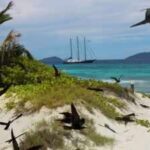 In 1973, Christopher Cadbury funded the £40,000 purchase of a Seychelles island stripped for coconuts and seabird eggs; today over 1 million seabirds breed there each year