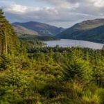 In 1986, Alan Watson Featherstone promised to restore Scotland's ancient Caledonian Forest, and by 2012 one million native trees had been planted