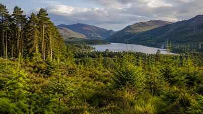 In 1986, Alan Watson Featherstone promised to restore Scotland's ancient Caledonian Forest, and by 2012 one million native trees had been planted