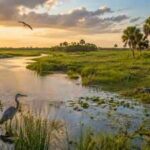 In 1992, Congress backed a plan to restore Florida’s Kissimmee River after decades of flood control. 28 years later, wetlands and wildlife were returning